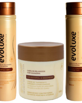 kit_de_tratamento_especial_para_o_cabelo_evoluxe.jpg